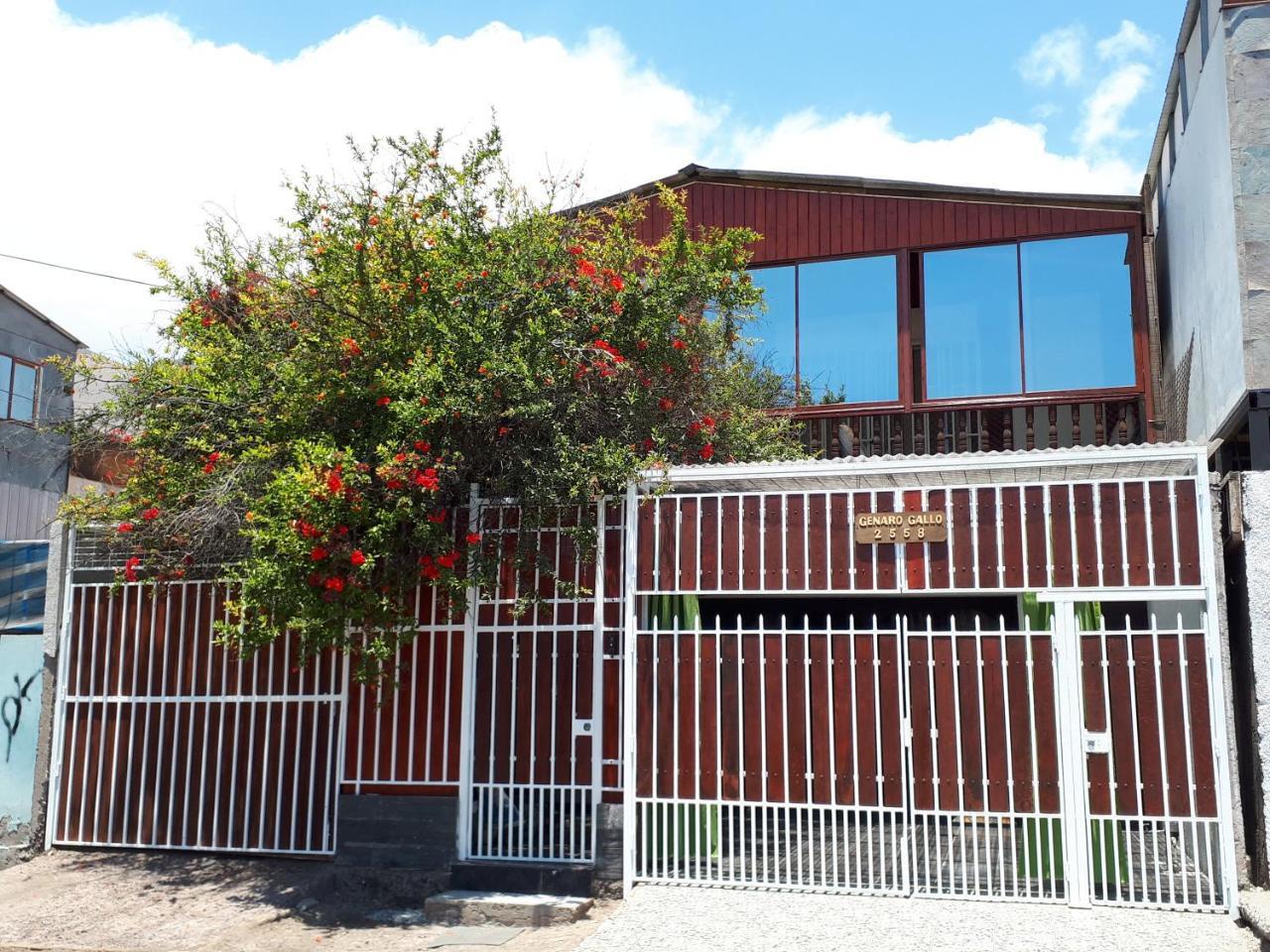 Casa Cely Otel Iquique Dış mekan fotoğraf